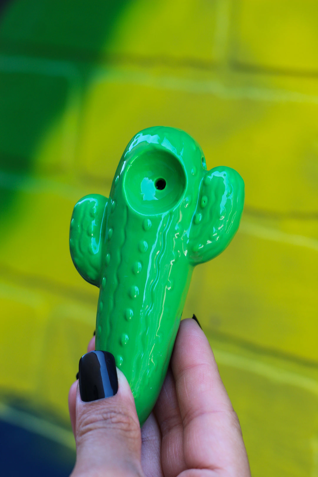 Cute Cactus Pipe