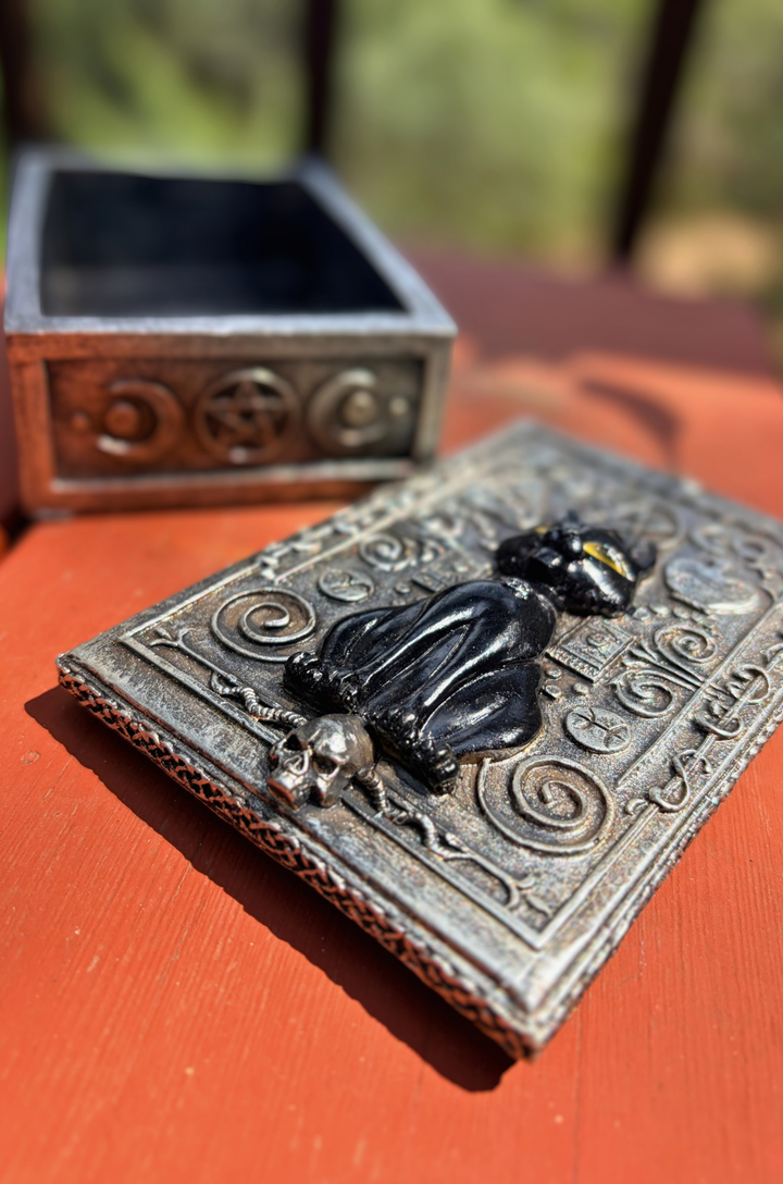Magic Black Cat Stash Box