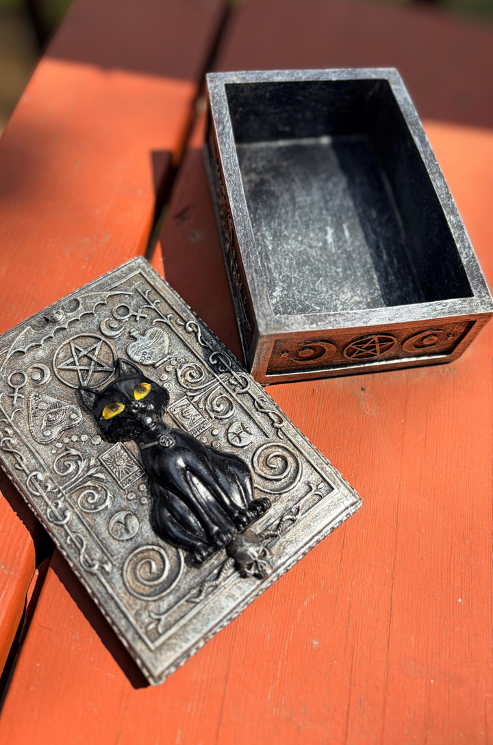 Magic Black Cat Stash Box