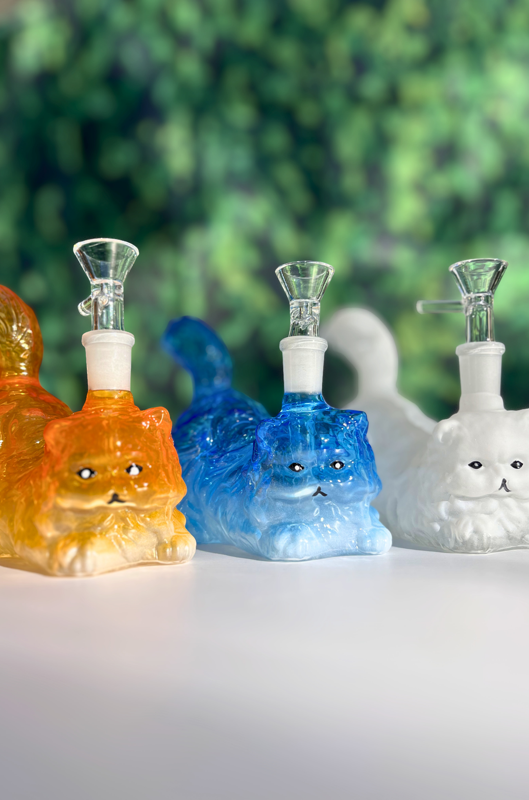 House Cat Glass Rig