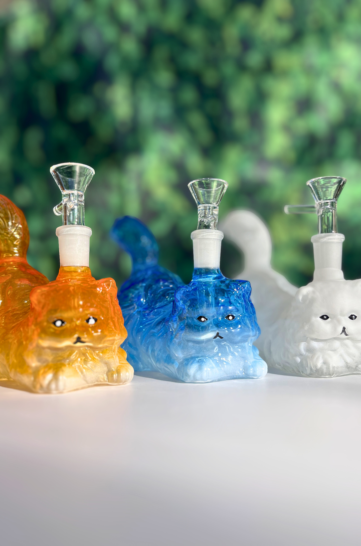 House Cat Glass Rig