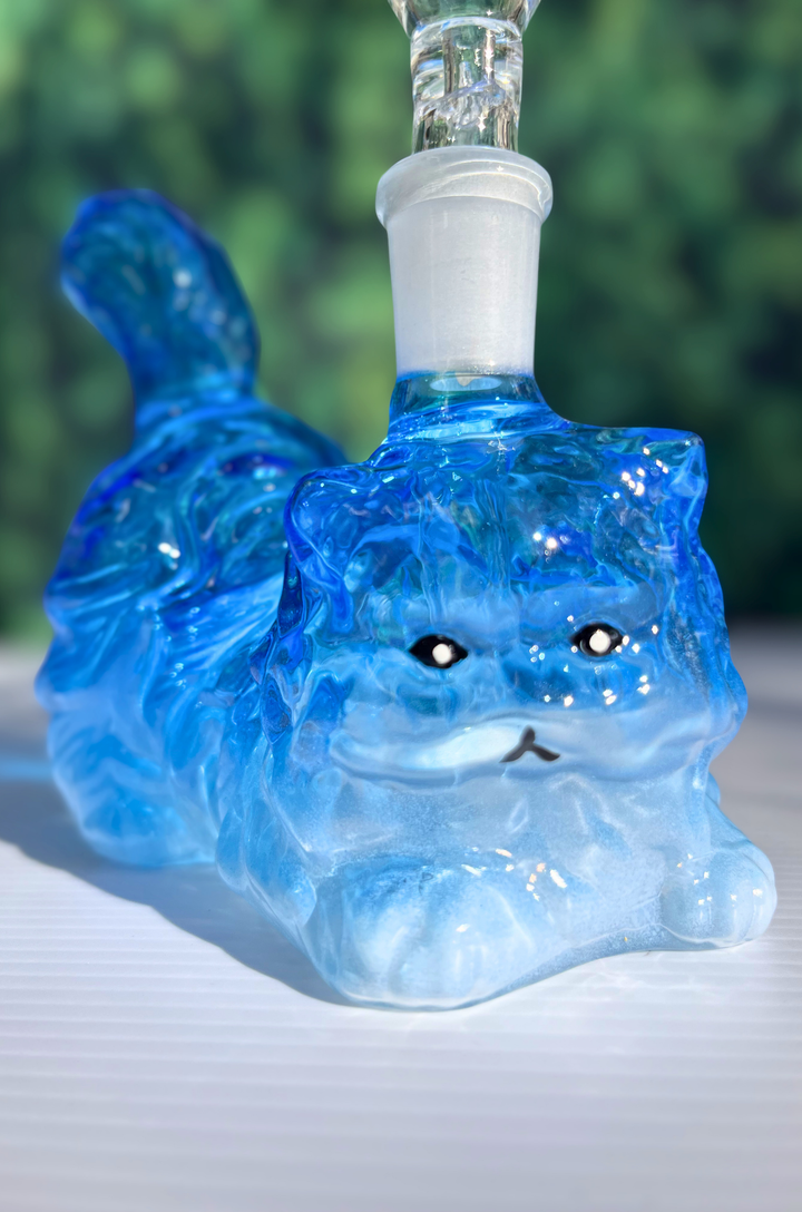 House Cat Glass Rig
