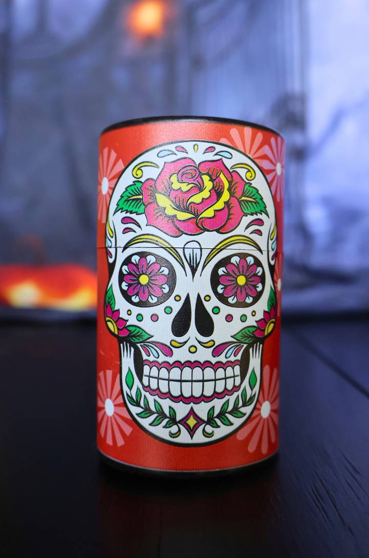 Day of the Dead Stash Container