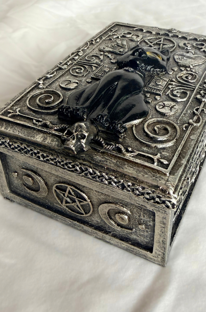 Magic Black Cat Stash Box