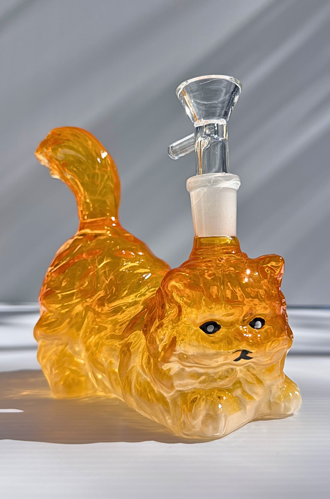 House Cat Glass Rig
