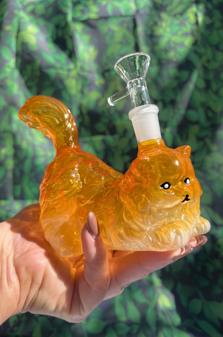 House Cat Glass Rig