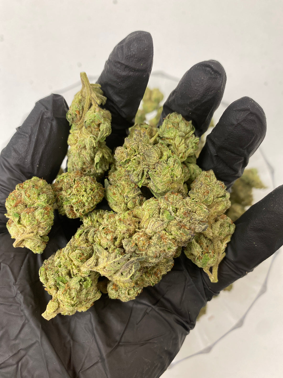 $99 Oz - Indoor Flower - Biscotti (Indica Hybrid)
