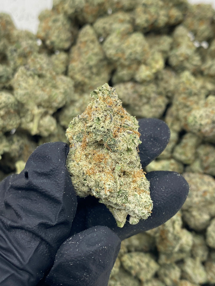 Indoor Exotics - Black Ice - Flower