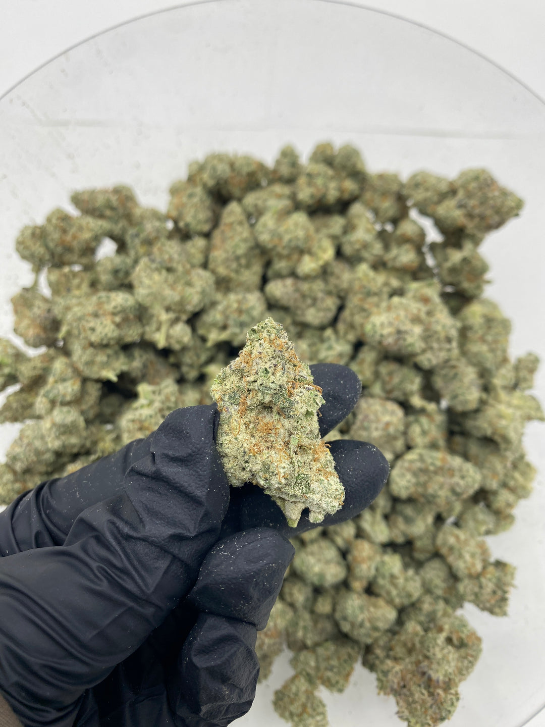 Indoor Exotics - Black Ice - Flower