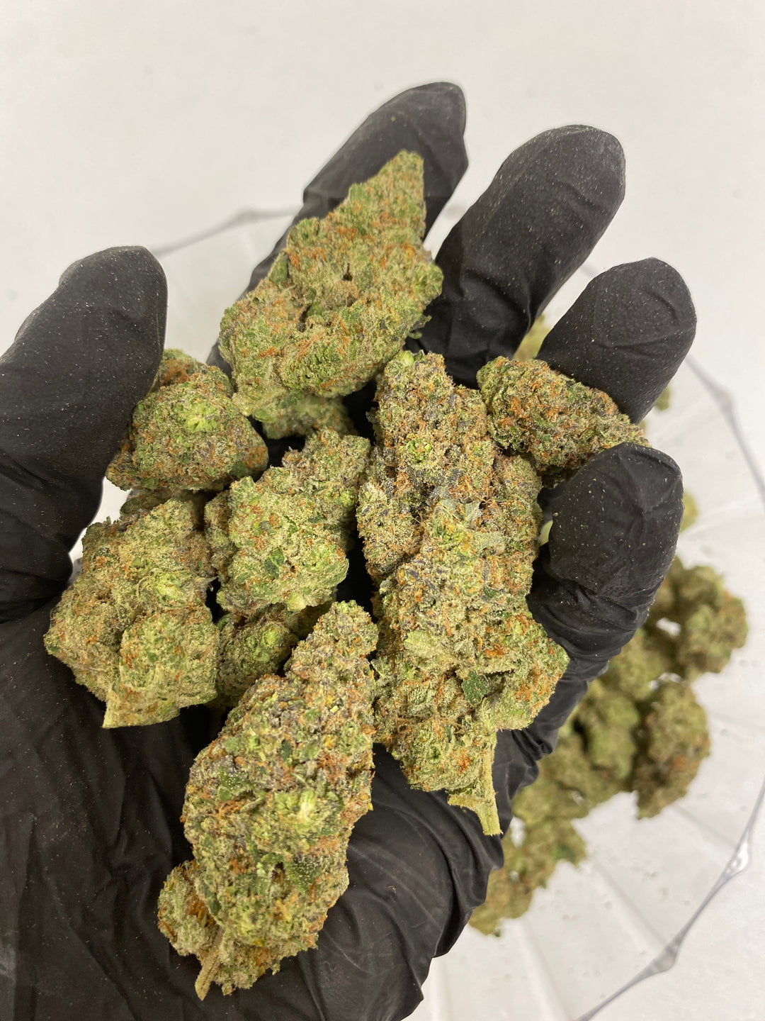 $140 Oz - Top Shelf Exotics - Black Lung (Indica Hybrid)