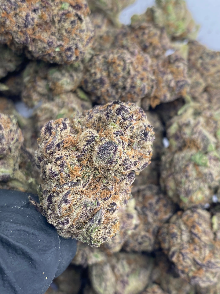 Indoor Exotics - Blueberry Pancake - Flower