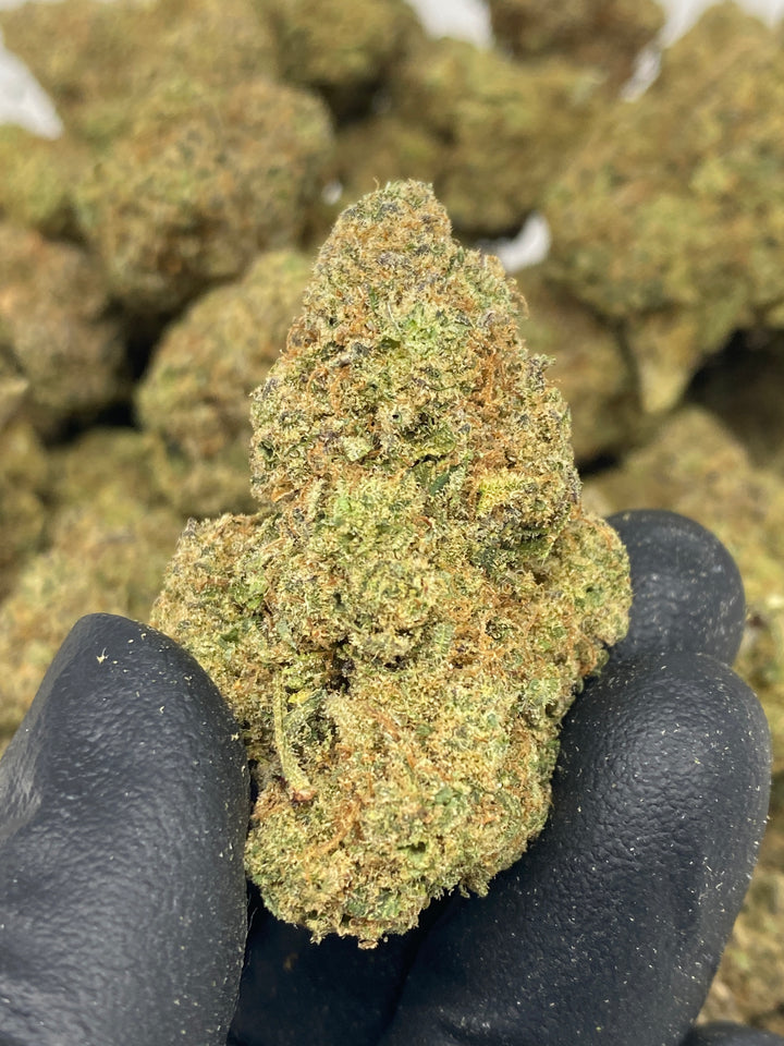 Indoor Exotics - Cali Burger - Flower