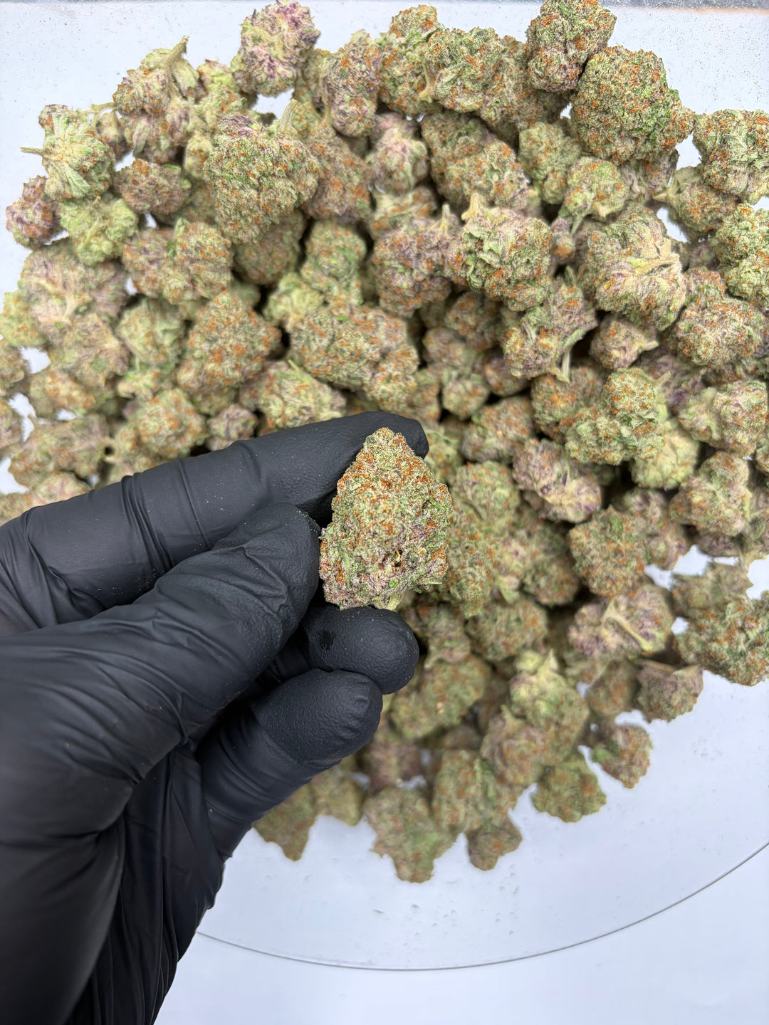 $99 Oz - Indoor Flower - Candy Fumez (Indica Hybrid)