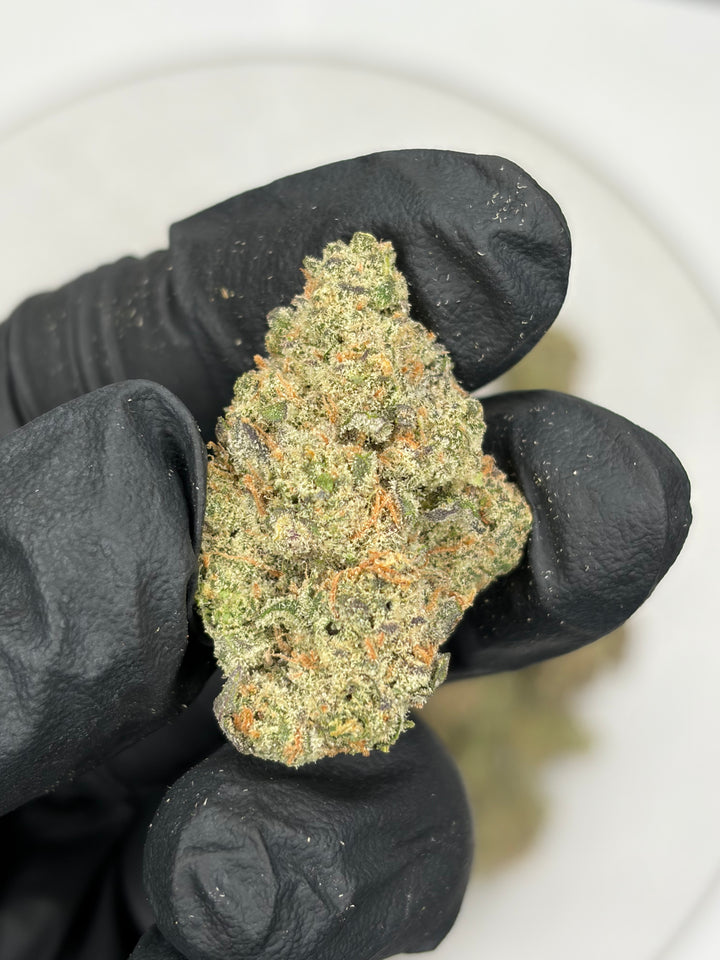 Indoor Exotics - Cherry Garcia - Flower