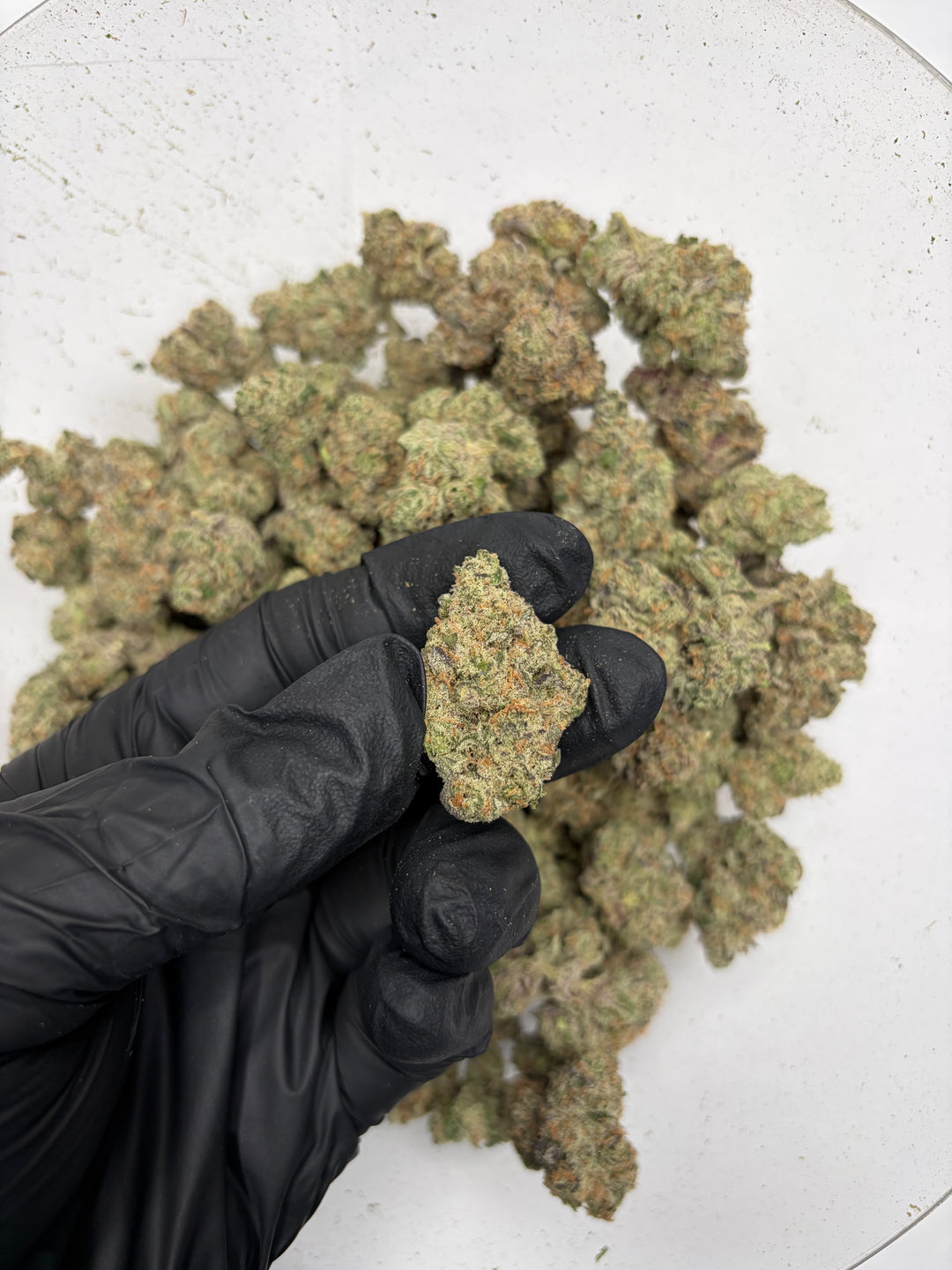 Indoor Exotics - Cherry Garcia - Flower