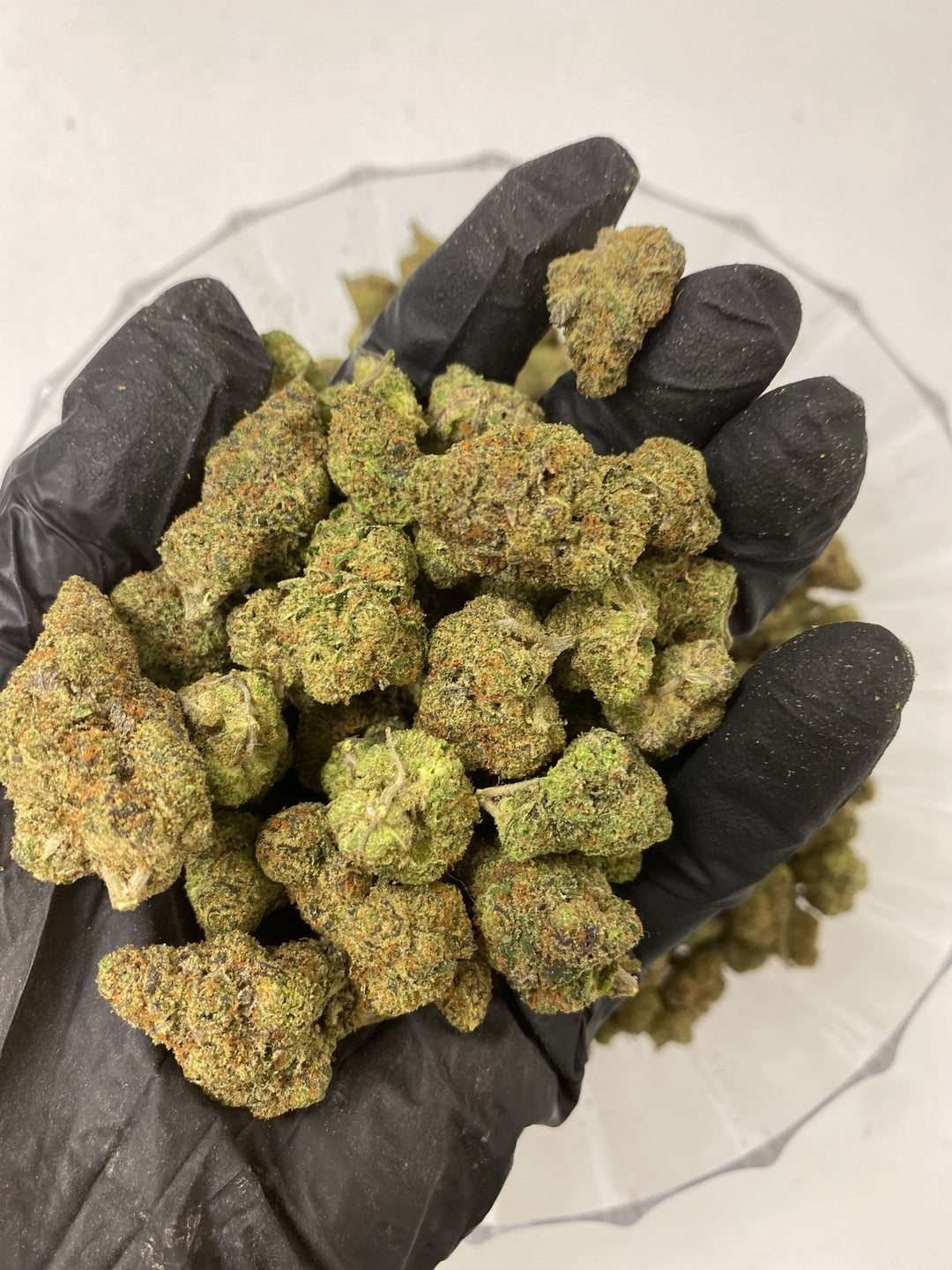 $140 Oz - Top Shelf Exotics - Cool Cookies (Balanced Hybrid)