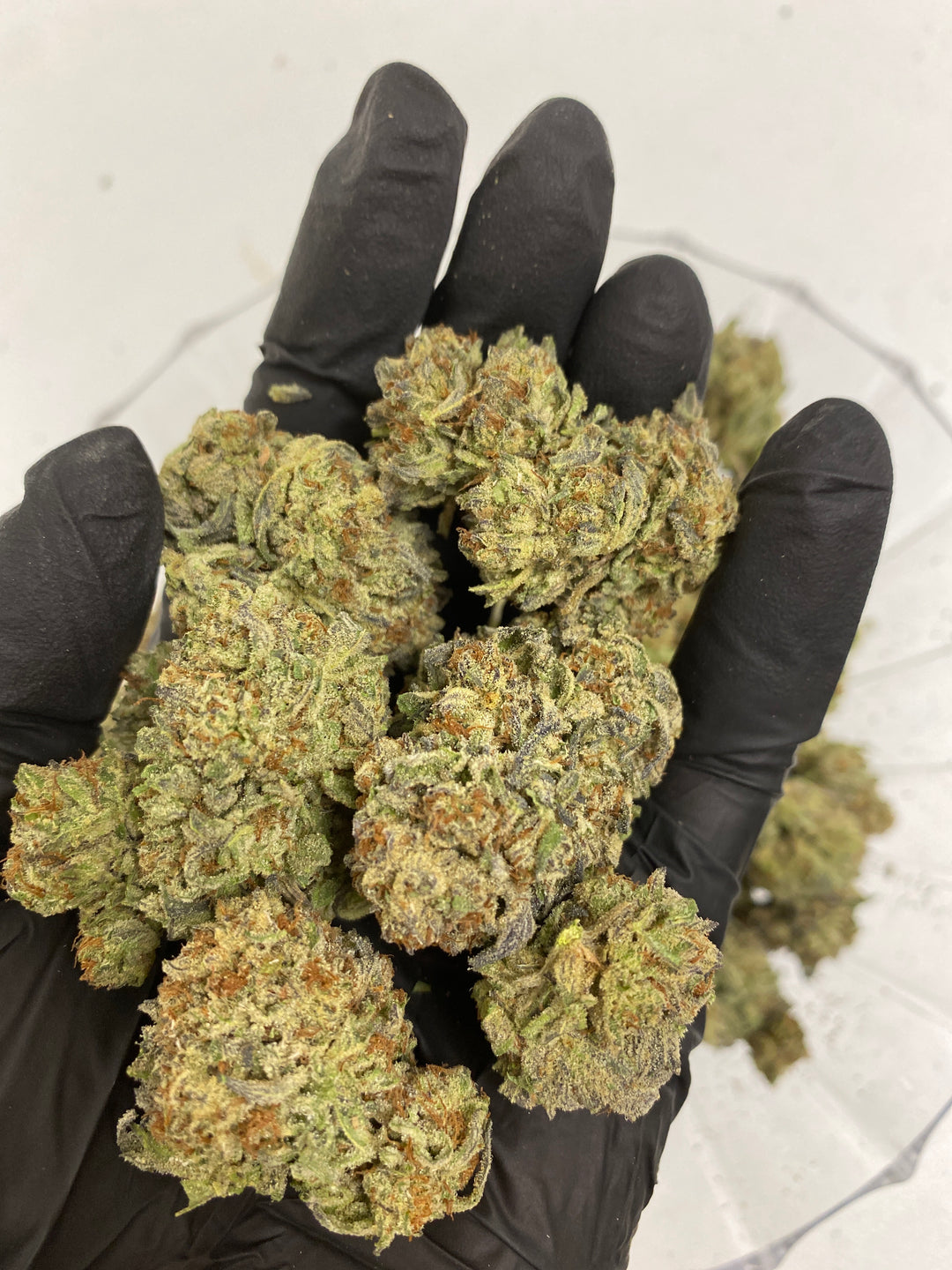 $140 Oz - Top Shelf Exotics - Cosmic Crisp (Balanced Hybrid)