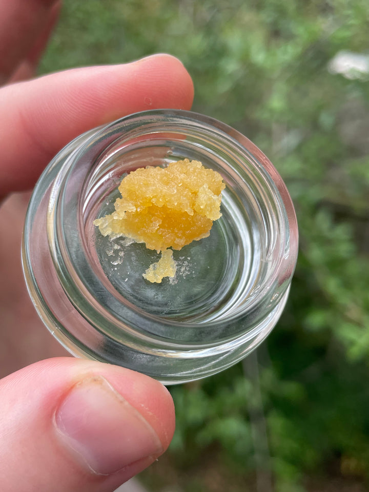 Concentrates - Live Resin - Lemon Cherry Gelato