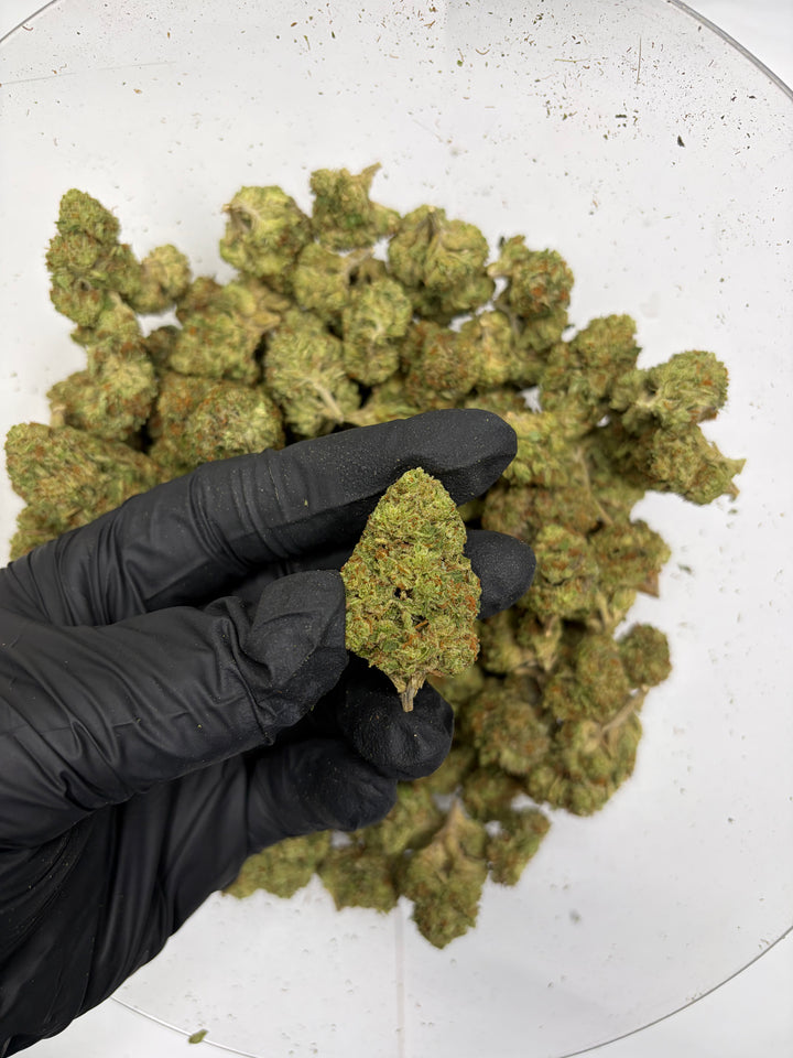 $99 Oz - G41 - Flower