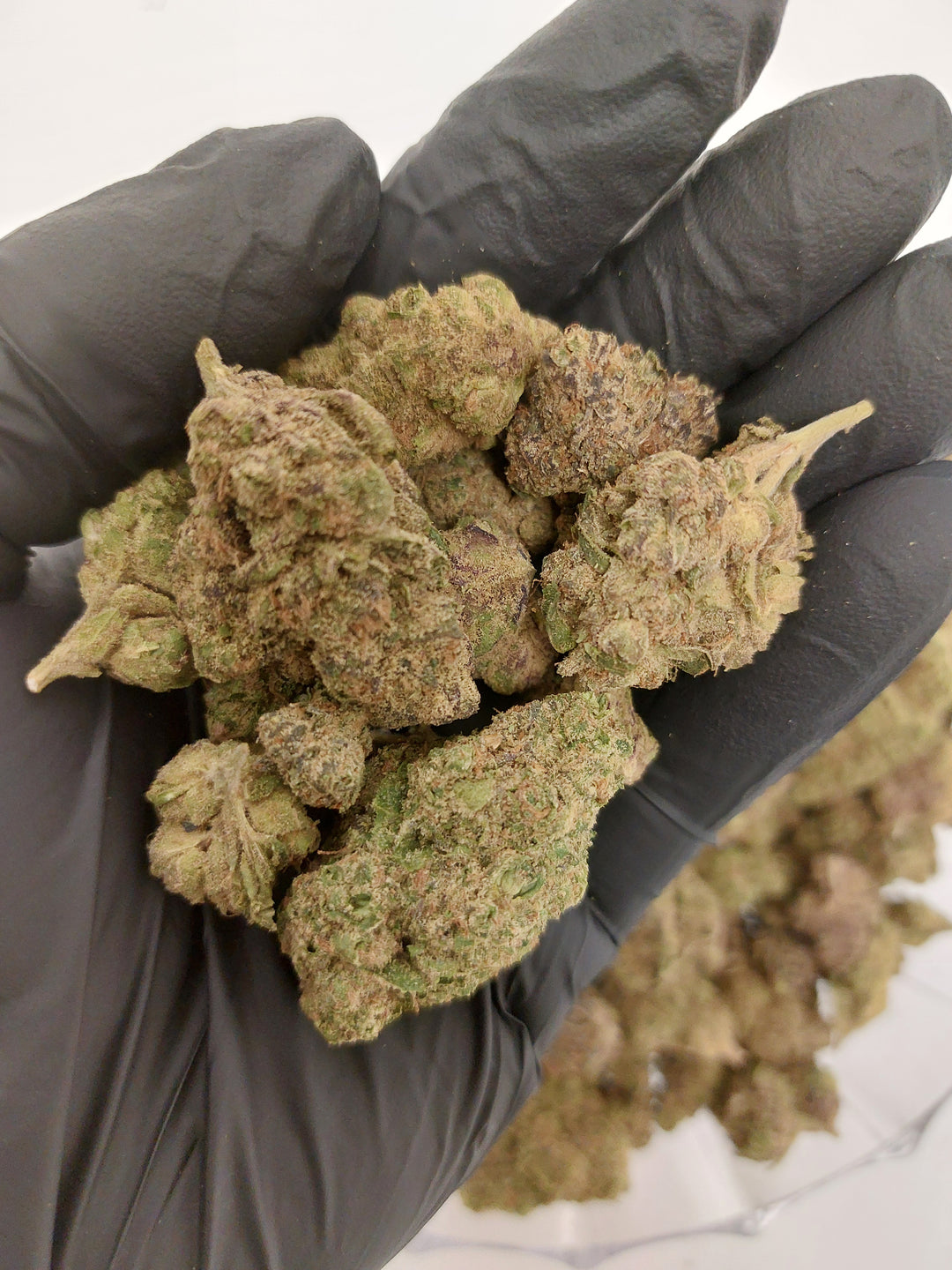 $99 Oz - Indoor Flower - Galactic Warheads (Sativa Hybrid)