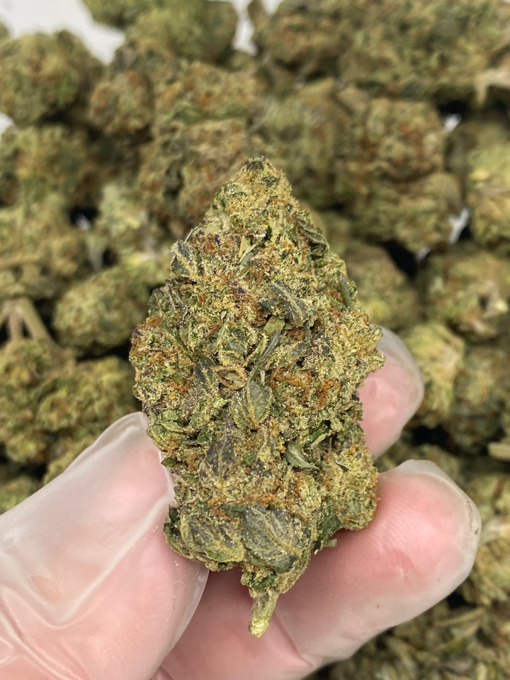 $99 Oz - Commercial Indoors -  Garlic Cookies - Flower