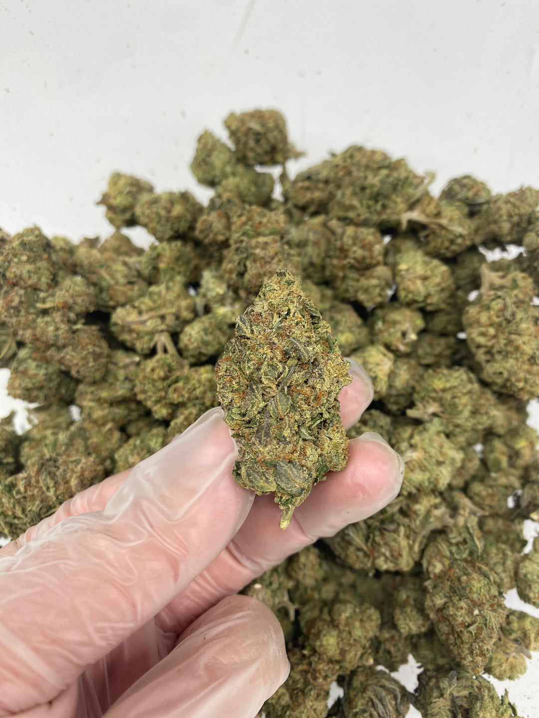 $99 Oz - Commercial Indoors -  Garlic Cookies - Flower