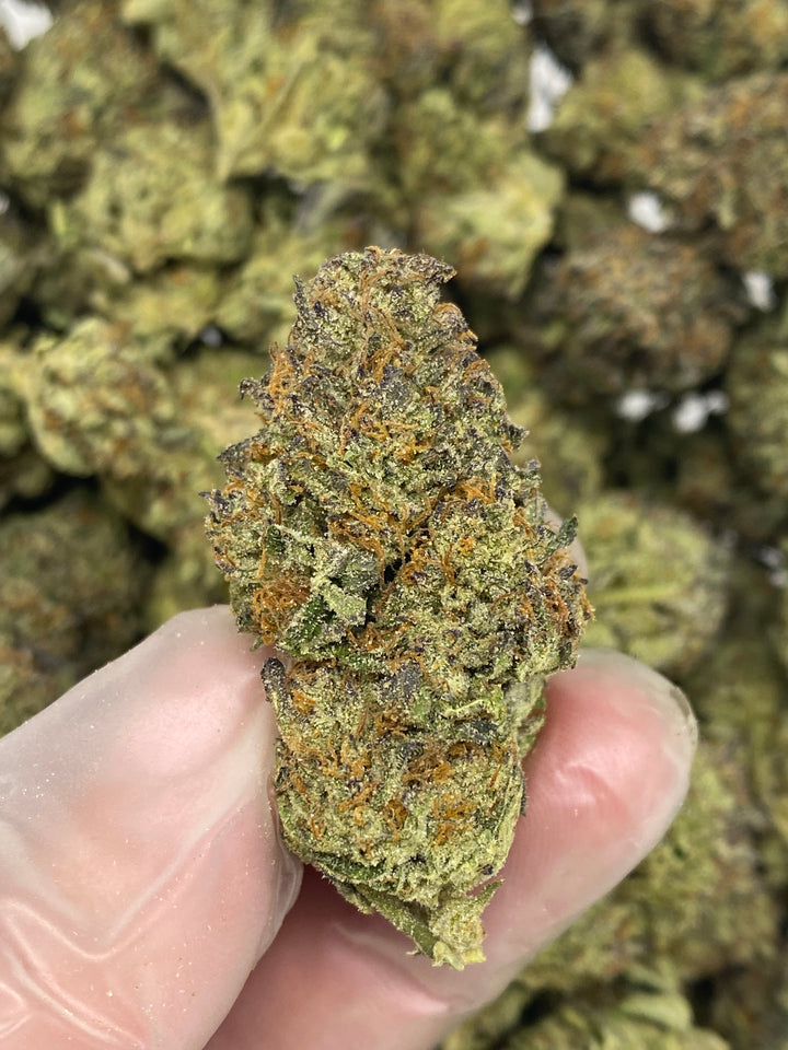 $99 Oz - Commercial Indoors - Gas Avion - Flower