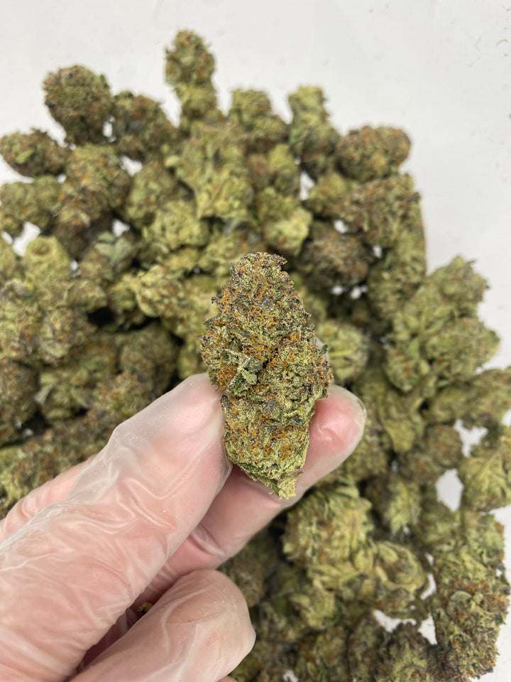 $99 Oz - Commercial Indoors - Gas Avion - Flower