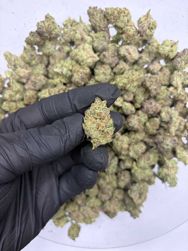 $99 Oz - Indoor Flower - Gazzurple (Sativa Hybrid)