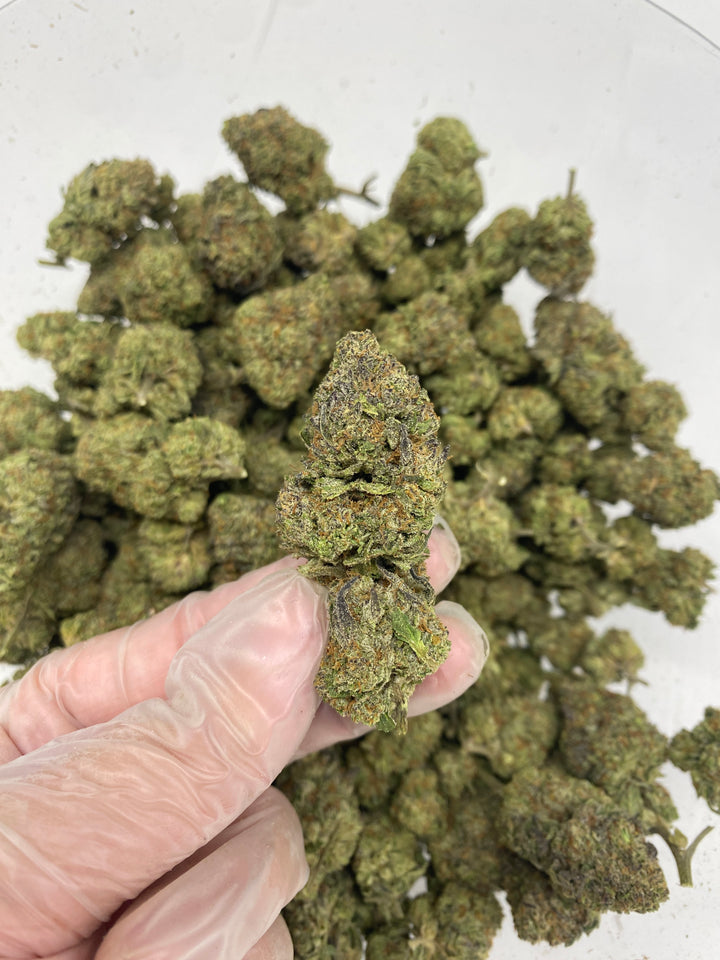 $99 Oz - Indoor Flower - Gelato (Hybrid)