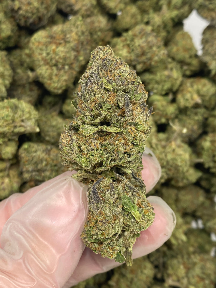 $99 Oz - Indoor Flower - Gelato (Hybrid)