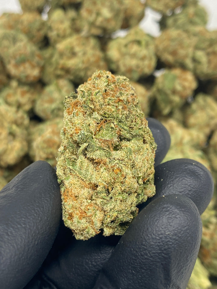 $99 Oz - Commercial Indoors - Gelonade - Flower