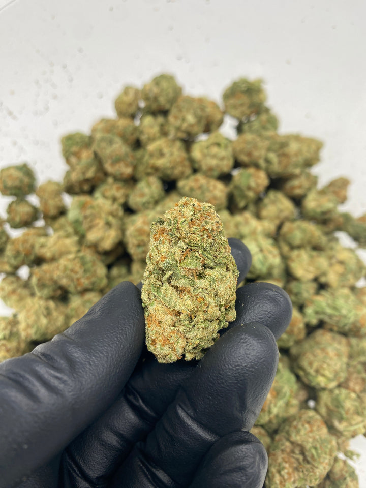 $99 Oz - Commercial Indoors - Gelonade - Flower