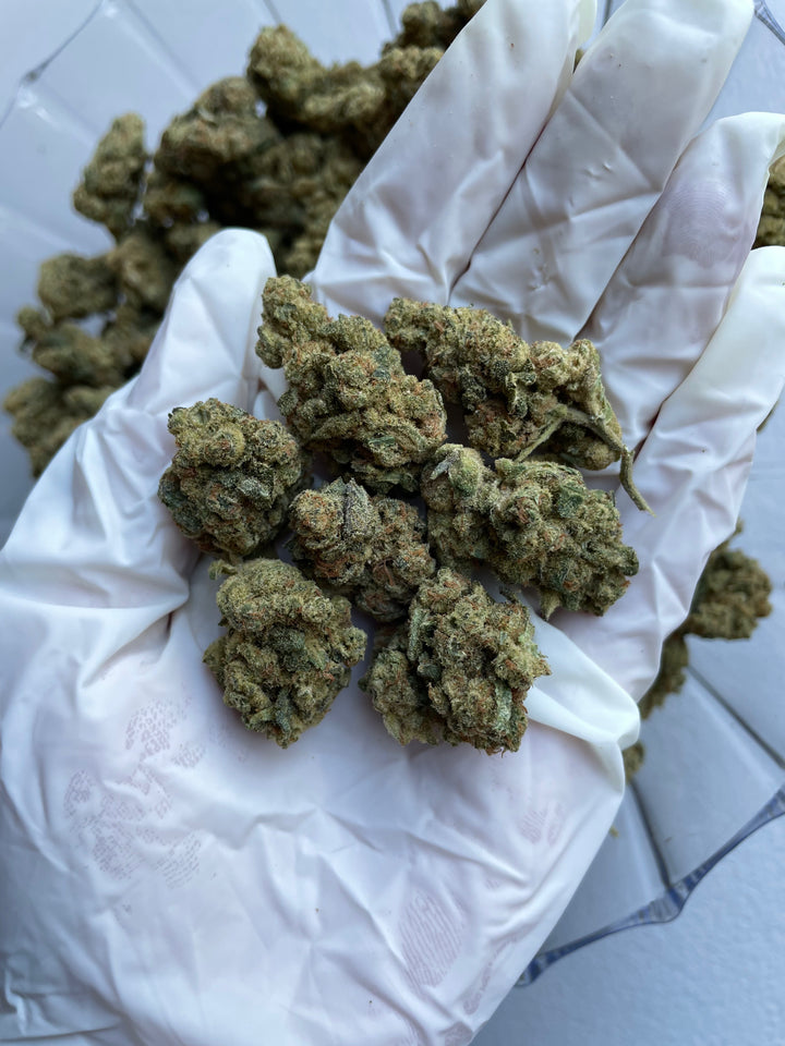 $99 Oz - Indoor Flower - Glitterbomb (Indica Hybrid)
