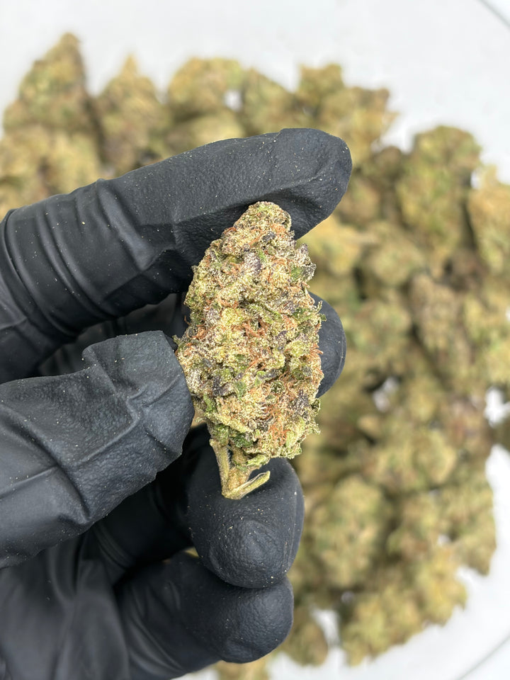 $99 Oz - Grape Gas - Flower