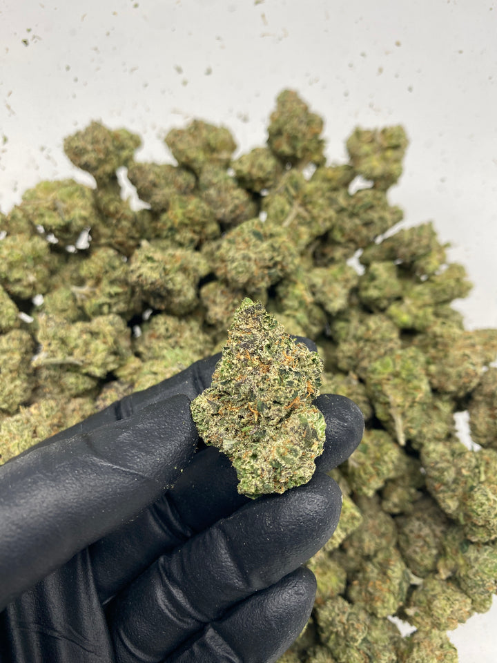 Indoor Exotics - Gushers - Flower