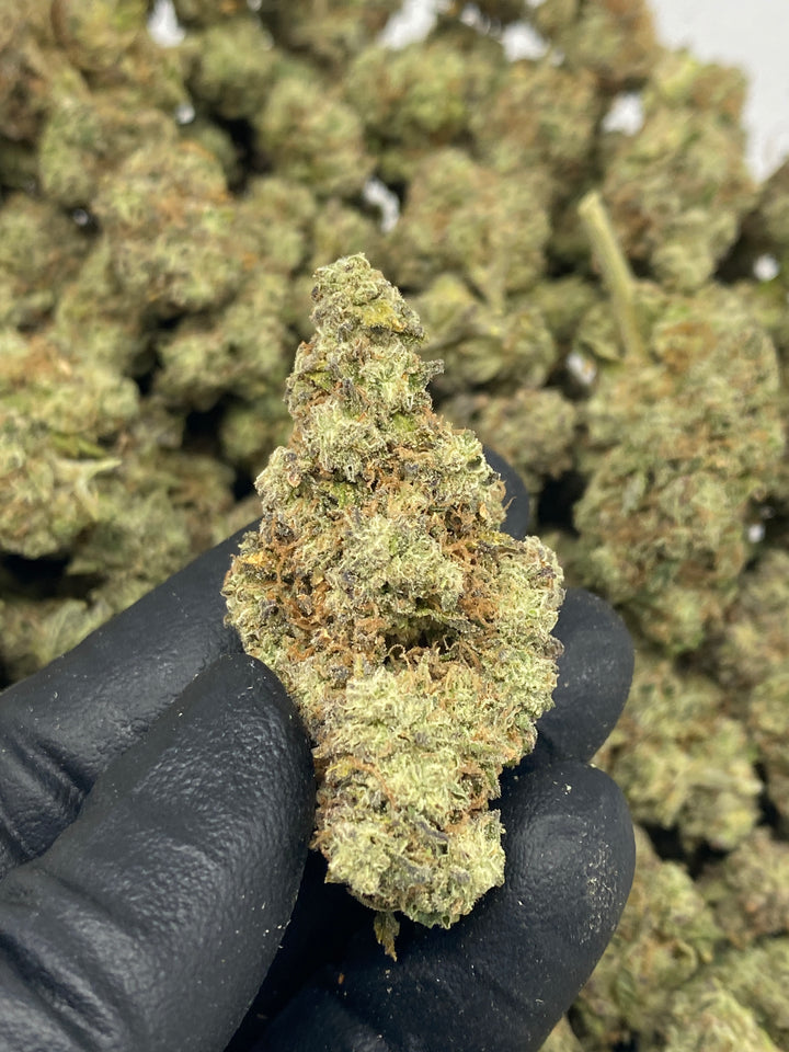 Indoor Exotics - Hashburger - THCa Flower