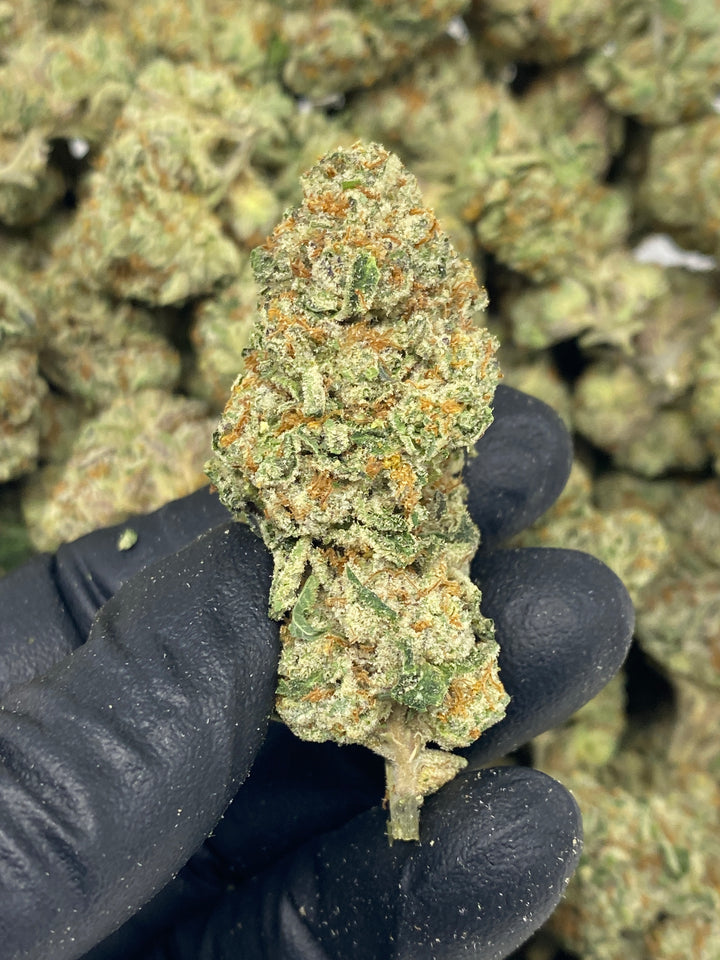 $99 Oz - Commercial Indoors - High Society - Flower