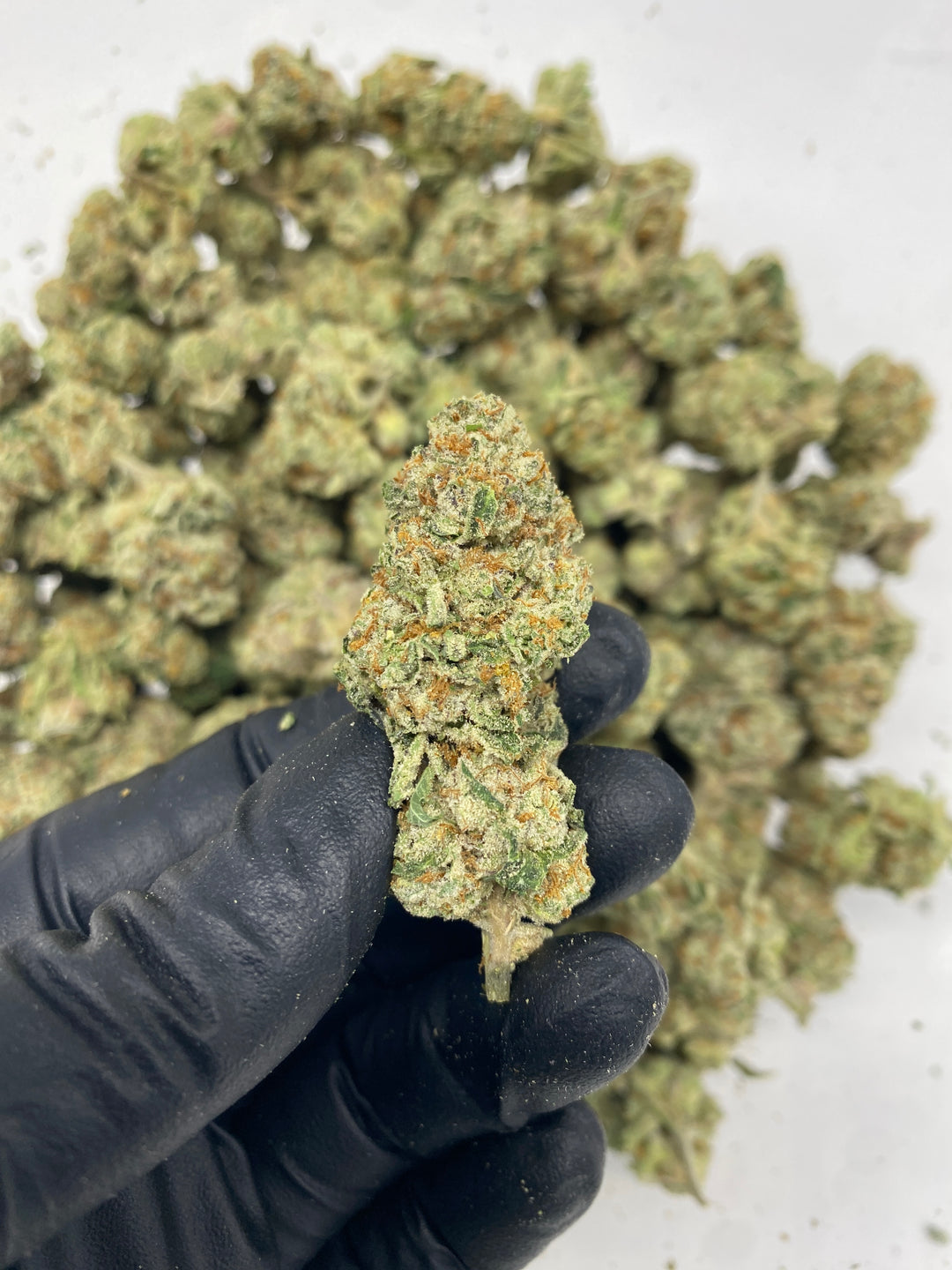 $99 Oz - Commercial Indoors - High Society - Flower