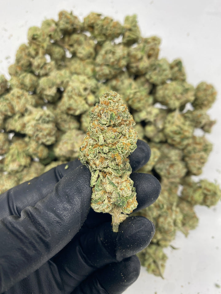 $99 Oz - Commercial Indoors - High Society - Flower