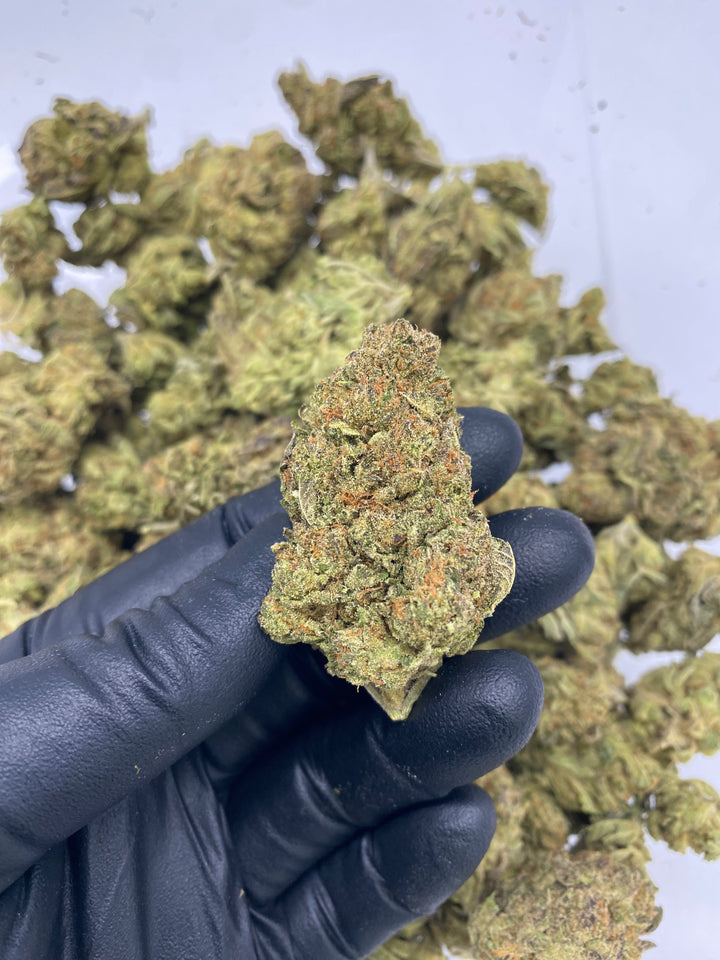 $99 Oz - Commercial Indoors - Italian Ice - Flower
