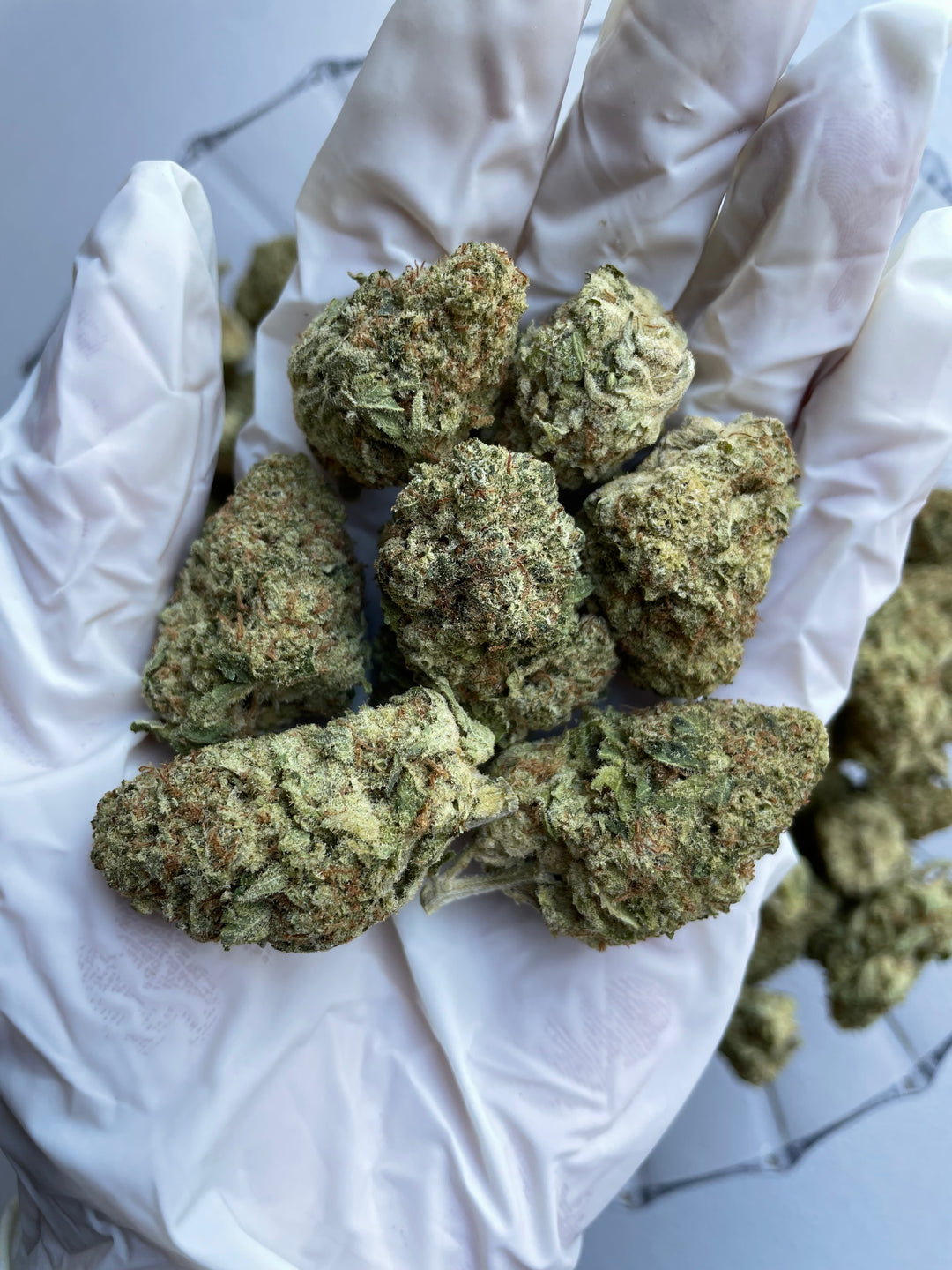 $99 Oz - Indoor Flower - Jungle Juice (Sativa Hybrid)