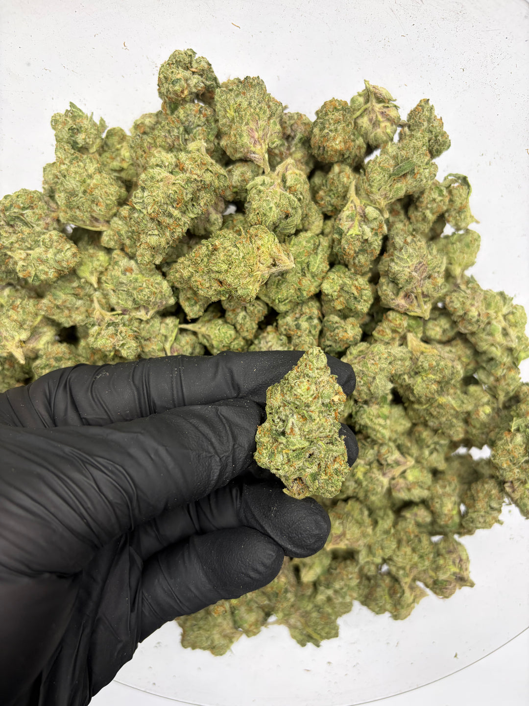 $99 Oz - Indoor Flower - LCG Max (Hybrid)