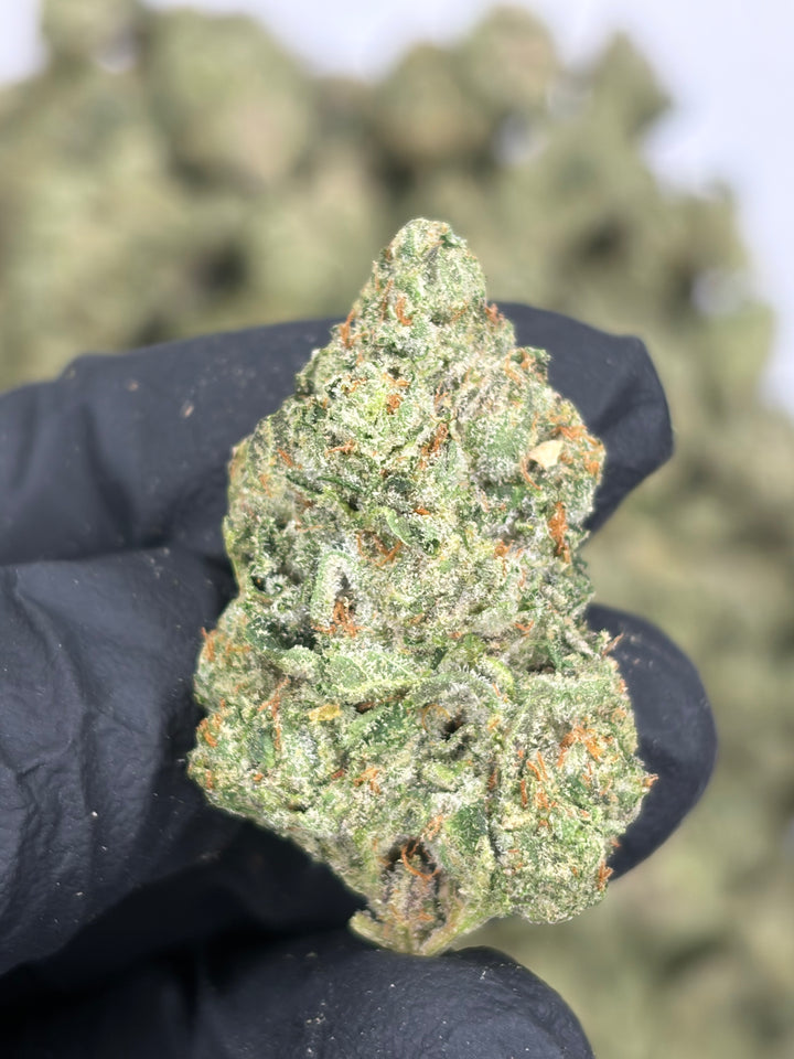 $99 Oz - Indoor Flower - LCG Max (Hybrid)