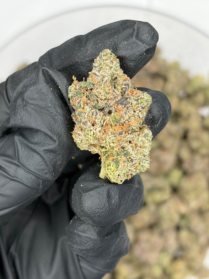Indoor Exotics - Legends Cut - Flower