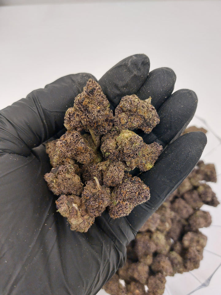 $140 Oz - Top Shelf Exotics - Lemon Cream Pie (Sativa Hybrid)