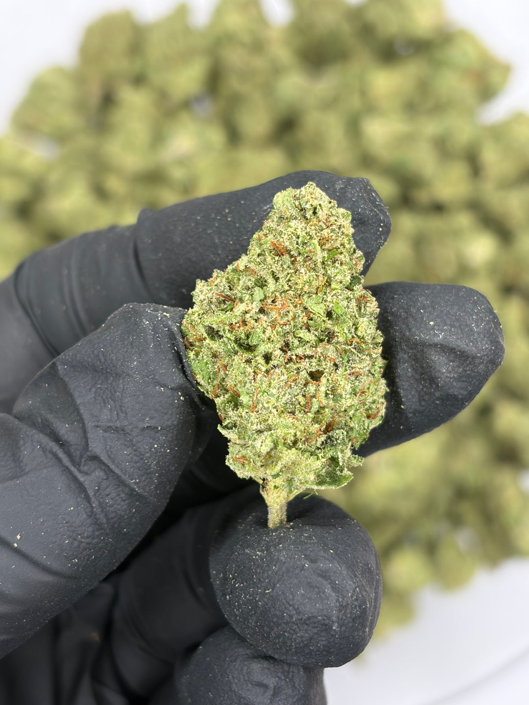 $99 Oz - Indoor Flower - Lemon Venom (Indica Hybrid)