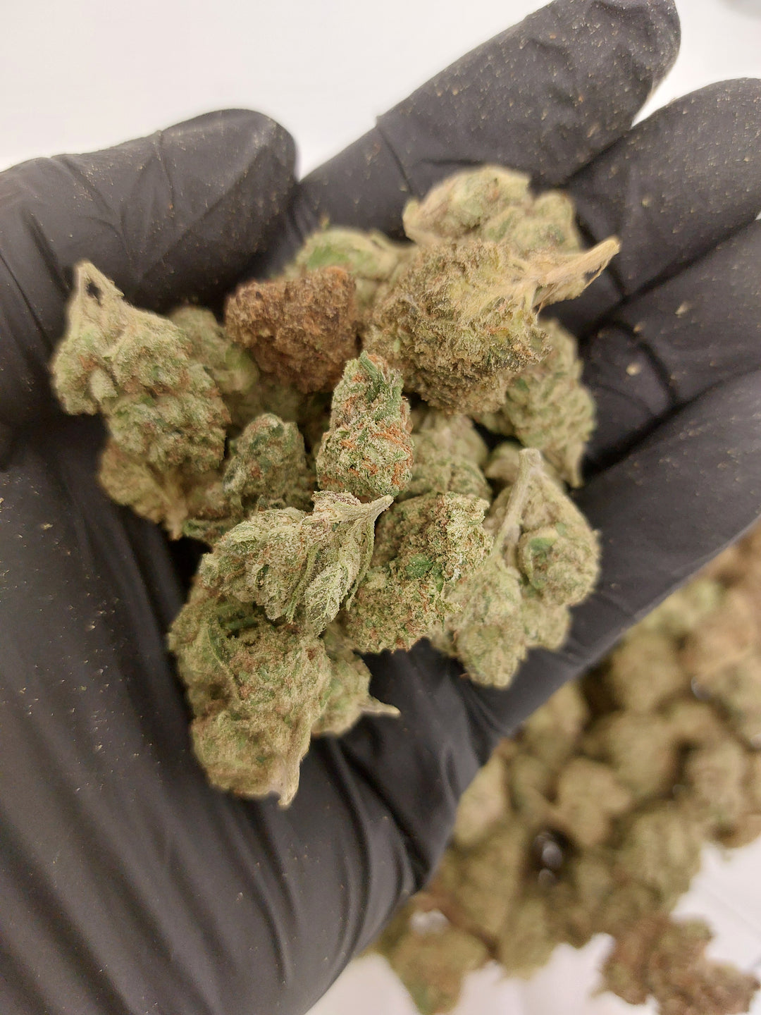 $99 Oz - Indoor Flower - Lemon Venom (Indica Hybrid)