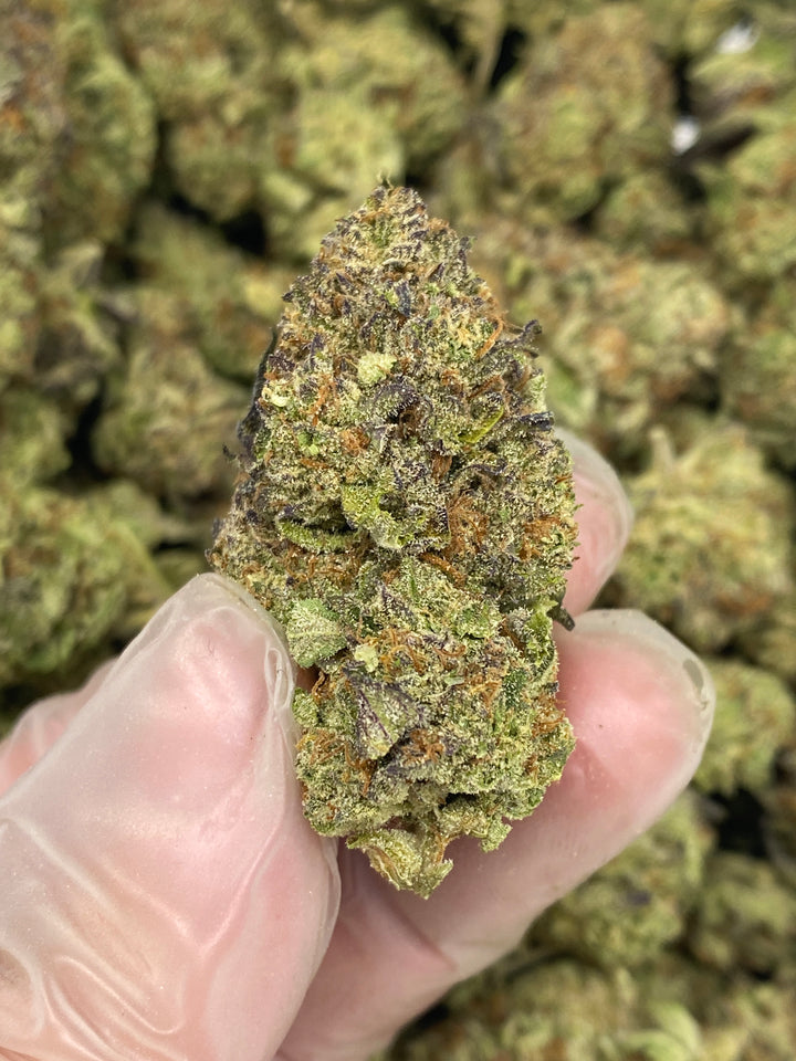 $99 Oz - Commercial Indoors - Milk Tea - Flower
