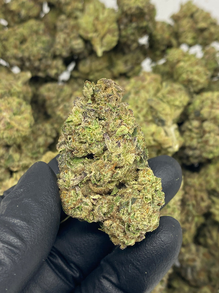 $99 Oz - Commercial Indoors - Mochilato - Flower